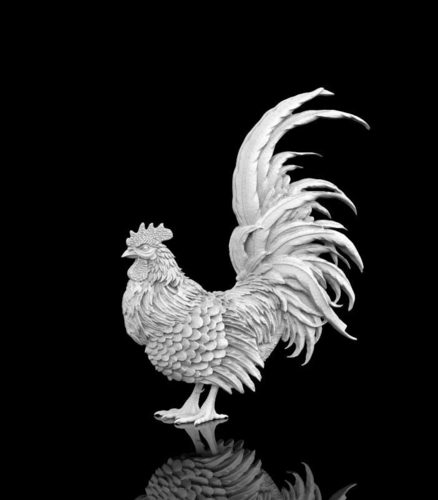 rooster 3D Print 510252