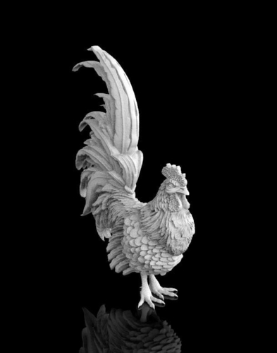 rooster 3D Print 510253