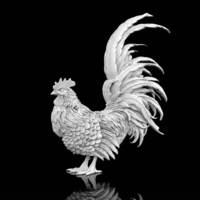 Small rooster 3D Printing 510255