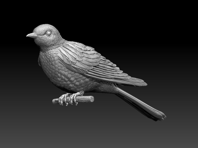 cuckoo 3D Print 510266