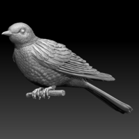 cuckoo - Thumbnail 1