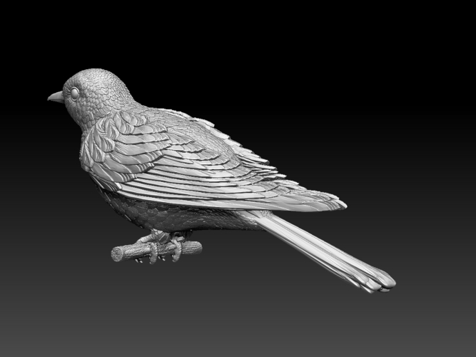 cuckoo 3D Print 510267