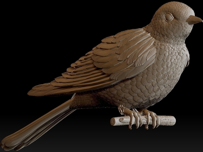 cuckoo 3D Print 510268