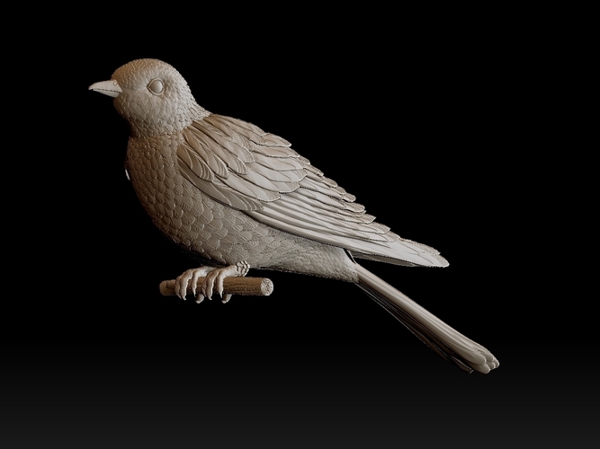 cuckoo 3D Print 510270