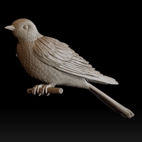 Small cuckoo 3D Printing 510270