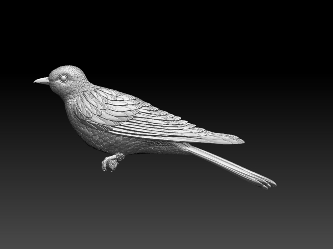 cuckoo 3D Print 510272