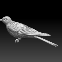 cuckoo - Thumbnail 7