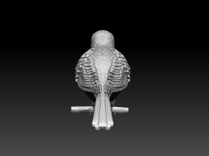 cuckoo 3D Print 510273