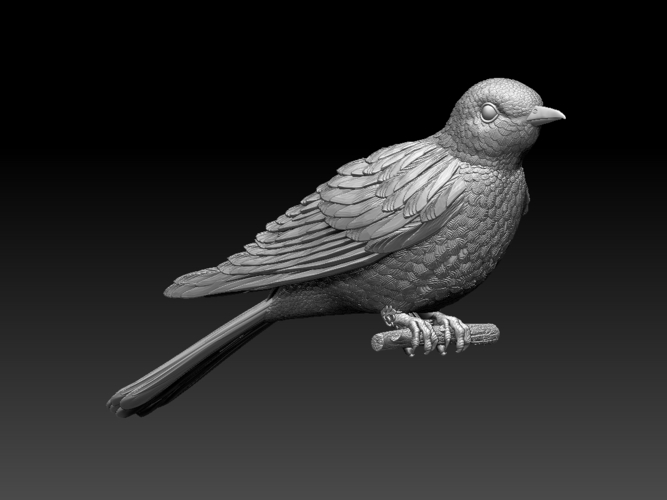 cuckoo 3D Print 510274