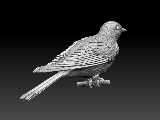 cuckoo 3D Print 510275