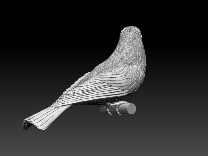 bee-eater 3D Print 510276