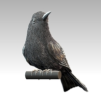 bee-eater - Thumbnail 7