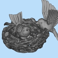 nest bird - Thumbnail 1
