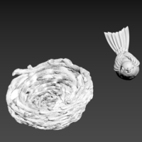 nest bird - Thumbnail 2