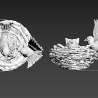 nest bird - Thumbnail 5