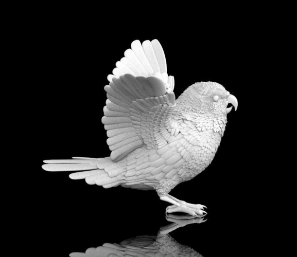 bird 3D Print 510293