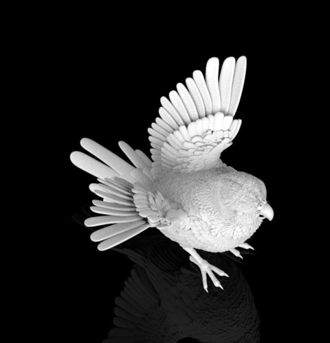 bird 3D Print 510295