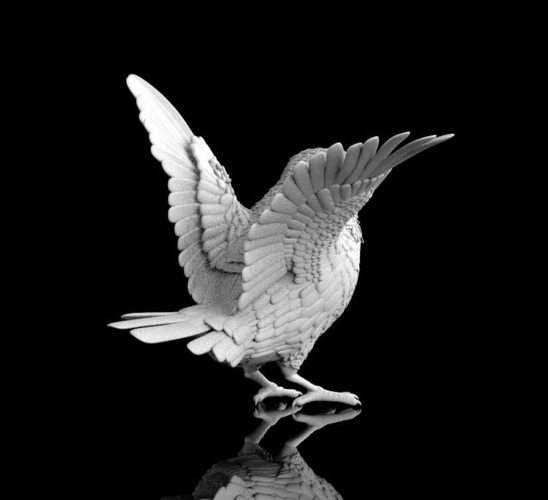 bird 3D Print 510296