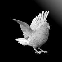 bird - Thumbnail 5