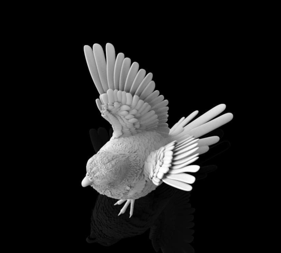 bird 3D Print 510299