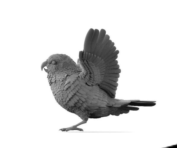 bird 3D Print 510300