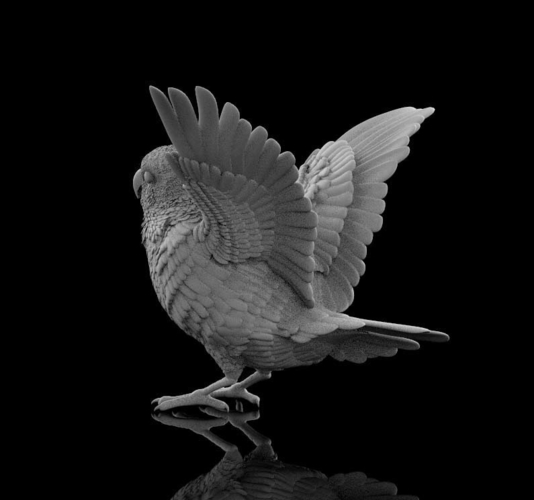 bird 3D Print 510301