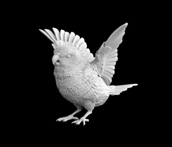 bird 3D Print 510302