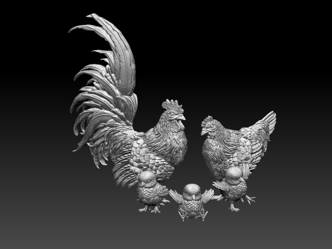 chick hen rooster 3D Print 510303