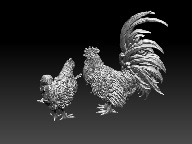 chick hen rooster 3D Print 510304