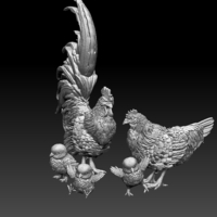 chick hen rooster - Thumbnail 5
