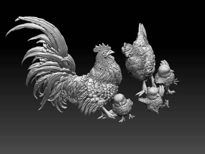 chick hen rooster 3D Print 510308