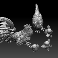 chick hen rooster - Thumbnail 7