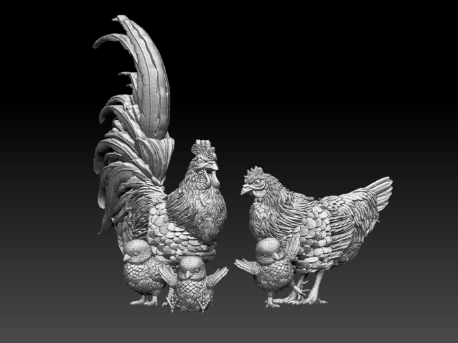 chick hen rooster 3D Print 510310