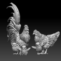 chick hen rooster - Thumbnail 8