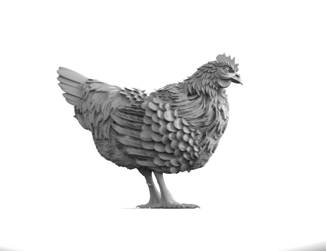 hen 3D Print 510312