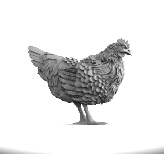 hen 3D Print 510314