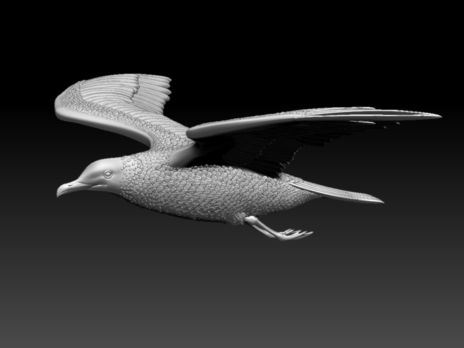 seagull 3D Print 510317