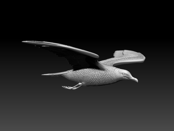 seagull 3D Print 510318