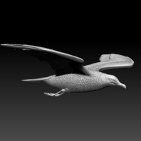 seagull - Thumbnail 2