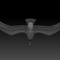 seagull - Thumbnail 3