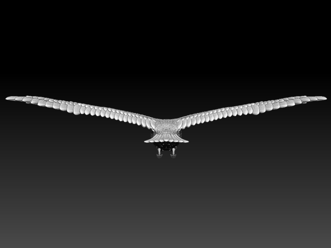 seagull 3D Print 510320