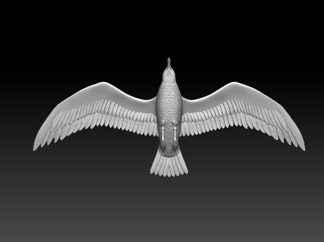 seagull 3D Print 510321