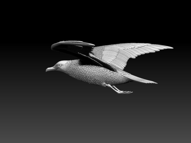 seagull 3D Print 510322