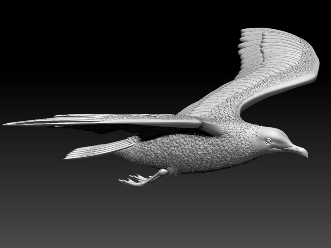 seagull 3D Print 510323