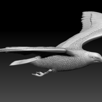 Small seagull 3D Printing 510323