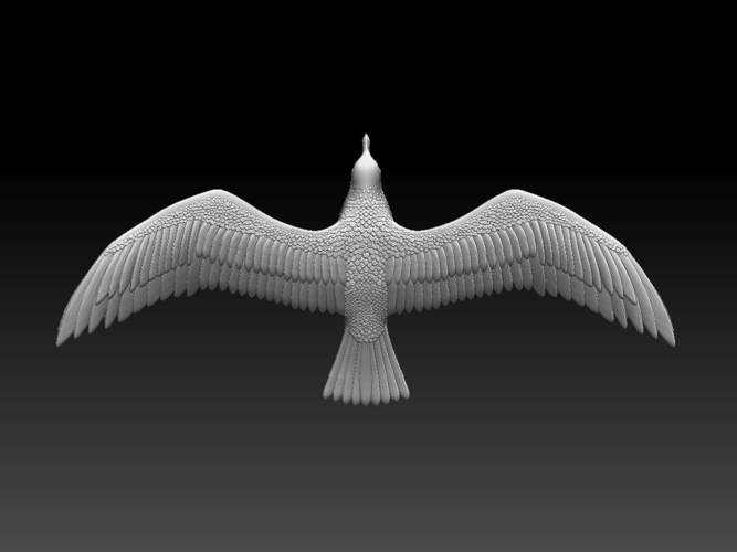 seagull 3D Print 510325