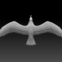 seagull - Thumbnail 9