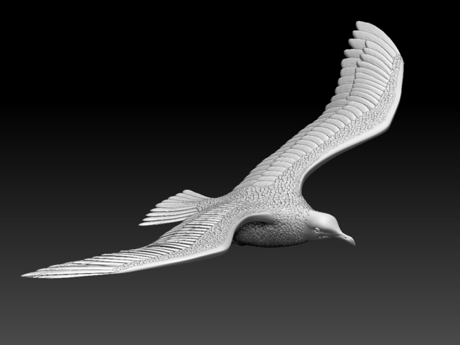 seagull 3D Print 510326