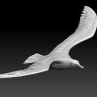 seagull - Thumbnail 10