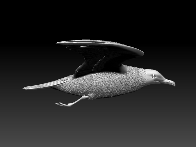 seagull 3D Print 510327